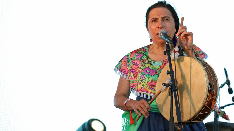 Bildrechte: WDR/Rühl Chancha Via Circuito beim Roskilde Festival 2015