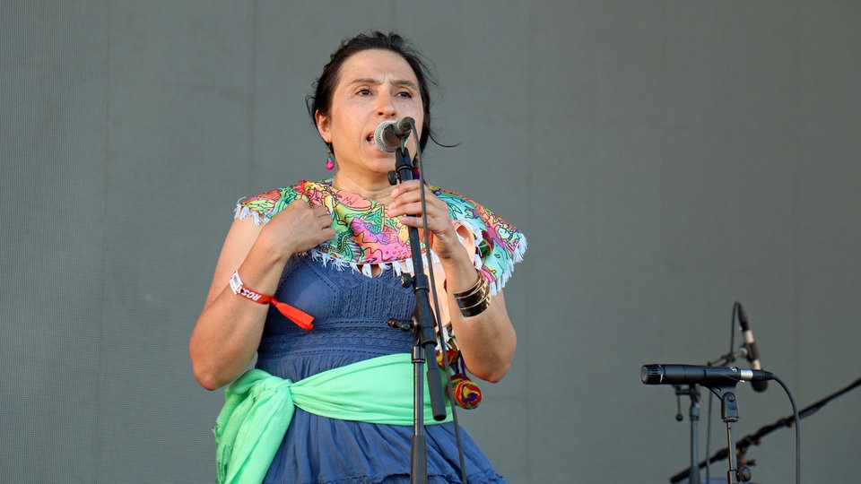 Bildrechte: WDR/Rühl Chancha Via Circuito beim Roskilde Festival 2015