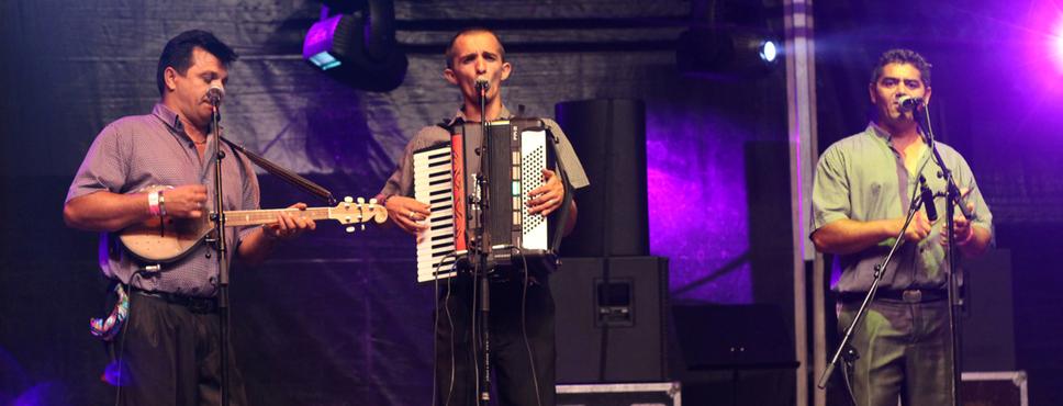 Sziget 2014 - Parno Graszt