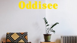 Oddisee