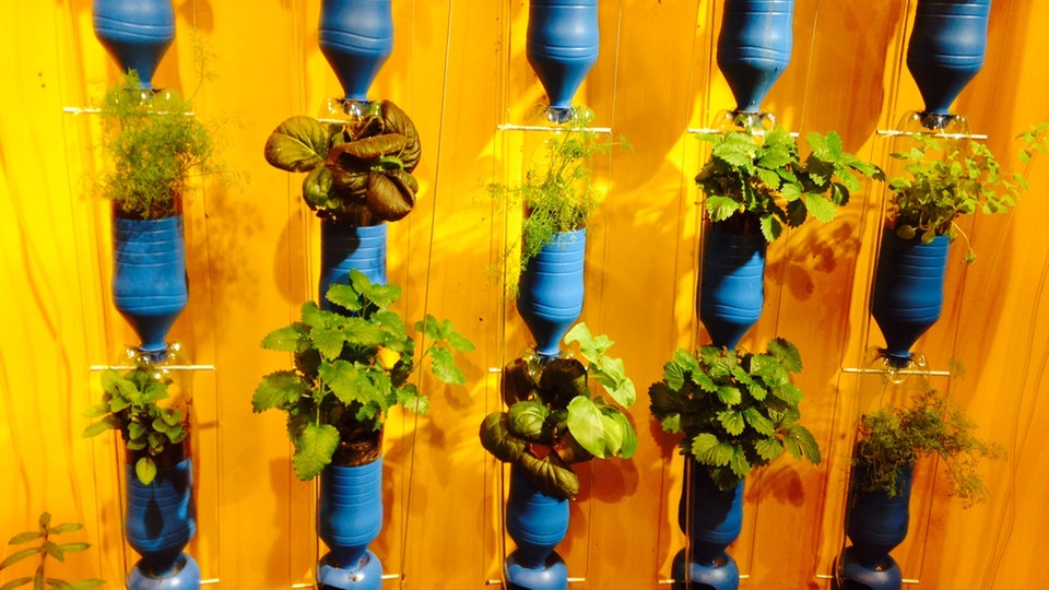 Bildrechte: Cristina Giordano Biogarten