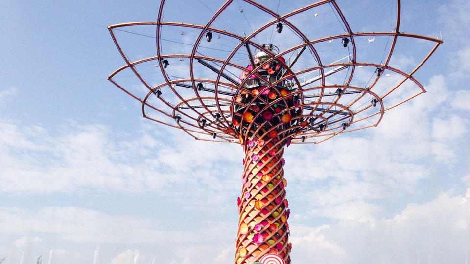 Bildrechte: Cristina Giordano Baum des Expo 2015