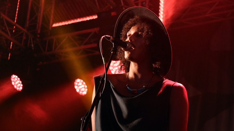 Bildrechte: WDR/Rühl Jungle beim Roskilde Festival 2015