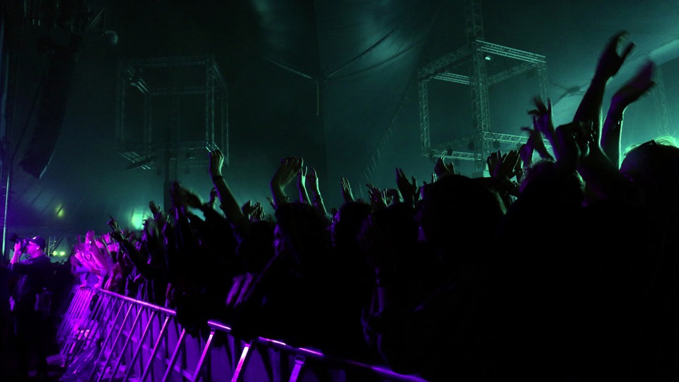 Bildrechte: WDR/Rühl Jungle beim Roskilde Festival 2015