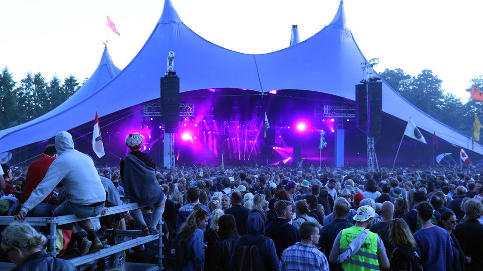 Bildrechte: WDR/Rühl Jungle beim Roskilde Festival 2015