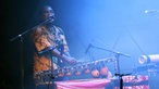 Lindigo live beim Rolskilde-Festival 2015