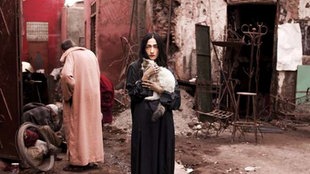 Cover-Ausschnitt der CD "Homeland" von Hindi Zahra, Hinterhof mit Motorrad, Frau mit langen Haaren hält eine Katze im arm