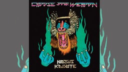 Hiatus Kaiyote: "Choose Your Weapon"