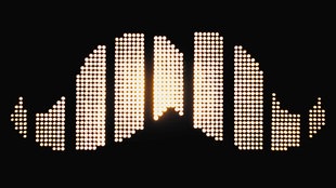 Deluxe: Stachelight