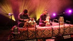 Sabir Khan beim Roskilde Festival 2015