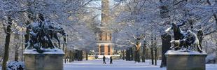 Blick auf die Siegessäule im Winter