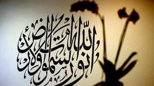 مرشد الطريق 