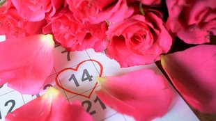 Rosen und Rosenblätter liegen um die Zahl "14" auf einem Kalenderblatt