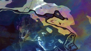 Marineoffizier David Grassi weigerte sich 2002, das Meer zu verschmutzen