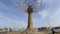 Expo 2015