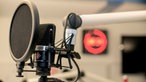 Ein Studio-Mikrofon vor verschwommenem Hintergrund