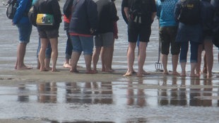 Noge više ljudi na plaži