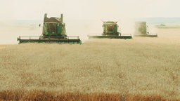 Szene aus der Dokumentation Landraub: Industriell betriebene Landwirtschaft in Rumänien