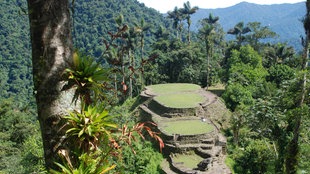 Ciudad Perdida, eine erst 1975 entdeckte Ruinenstadt des Volkes der Tairona, liegt mitten in einem dicht bewachsenen Bergregenwald-Gebiet in der Sierra Nevada in Kolumbien