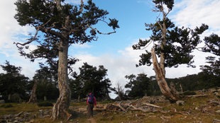 Der beliebte Wanderweg GR 20 auf Korsika