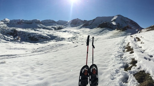 Schneewandern in Norditalien - mit Schneeschuhe und Stöcke vor einem Gletscherpanorama.
