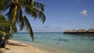 Strand, Palmen, Meer
