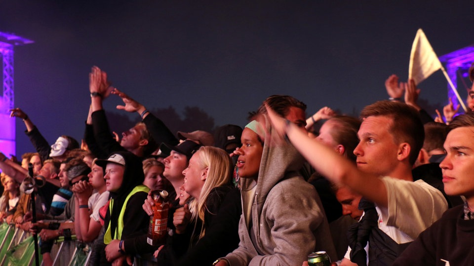 Bildrechte: WDR/Rühl Tropkillaz beim Roskilde Festival 2015